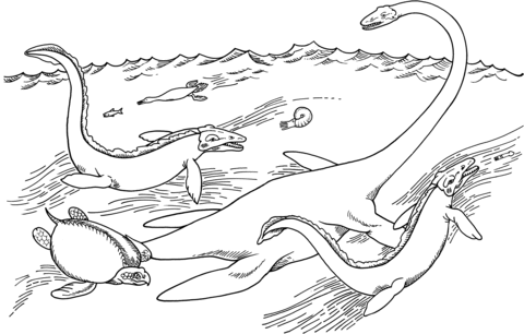 Elasmosaurus, Hesperornis, Tylosaurus, Archelon And Ammonite Coloring Page